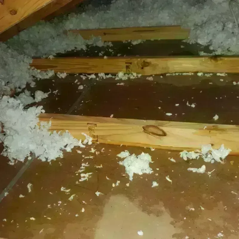 Attic Water Damage in Porterville, CA